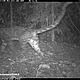 &copy; WWF-Indonesia/PHKA