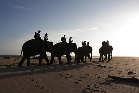  / &copy;: WWF-indonesia/Supriyanto