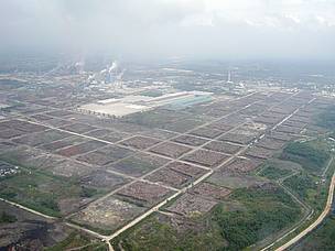 Asia Pulp and Paper Mills