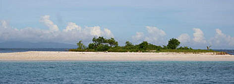  / &copy;: WWF-Indonesia