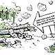 © bp_dec10_deforestation_tt