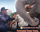 Cover Bulletin Suara Tesso Nilo Edisi Januari Maret 2008