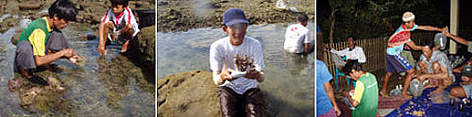  / &copy;: WWF-Indonesia