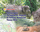 Cover Bulletin Suara Tesso Nilo edisi Oktober - Desember 2007