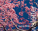 Cover GFTN-Newletter: Spring 2008