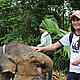 &copy; WWF-Indonesia/Desmarita Murni