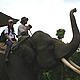 &copy; WWF-Indonesia/Israr Ardiansyah