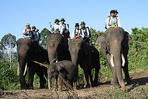  / &copy;: WWF-Indonesia/Supriyanto