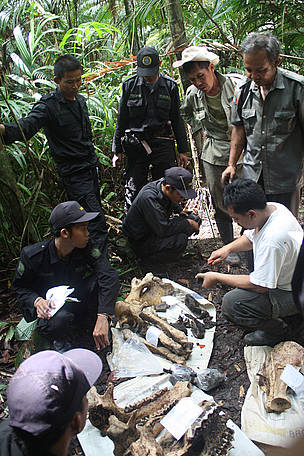   / &copy;: WWF-Indonesia