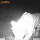 &copy; WWF_PHKA
