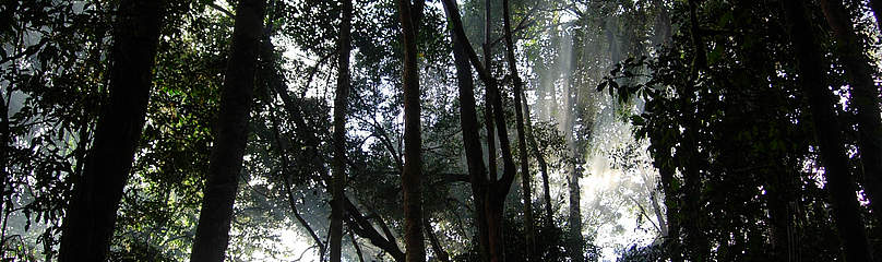   / &copy;: WWF-Indonesia