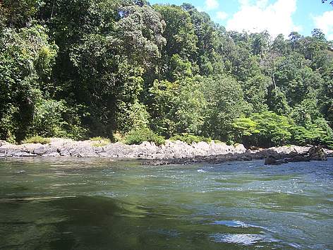   / &copy;: WWF-Indonesia/Albertus