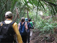   / &copy;: WWF-Indonesia/Nazla Mariza
