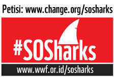 Petisi: Hentikan Promosi, Konsumsi, dan Penjualan Produk-produk Hiu! | Save Our Sharks - Save Our Seafood - Save Our Ocean