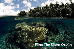 The Silent Ocean