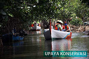 Upaya Konservasi