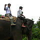 &copy; WWF-Indonesia/Israr Ardiansyah