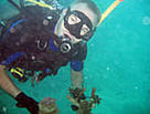  / &copy;: WWF-Indonesia