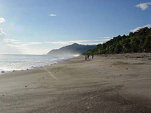  / &copy;: WWF-Indonesia/Lie Tangkepayung