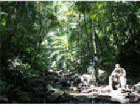  / &copy;: WWF-Indonesia