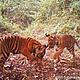 &copy; WWF-Indonesia
