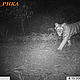 &copy; WWF_PHKA