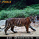 &copy; WWF_PHKA