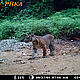 &copy; WWF_PHKA