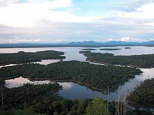   / &copy;: WWF-Indonesia/Jimmy Syahirsyah