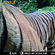 &copy; WWF_PHKA
