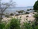  / &copy;: WWF-Indonesia