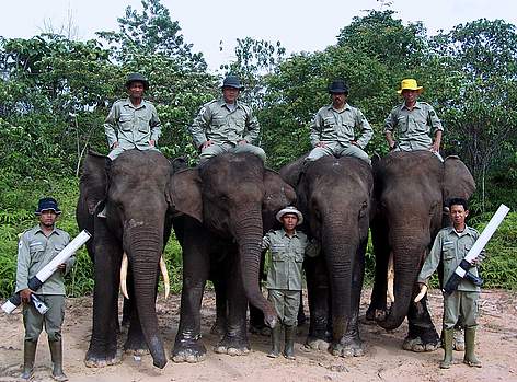   / &copy;: WWF-Indonesia/Syamsuardi
