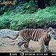 &copy; WWF-Indonesia/WWF_PHKA