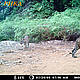 &copy; WWF_PHKA
