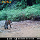 &copy; WWF_PHKA